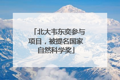 北大韦东奕参与项目，被提名国家自然科学奖
