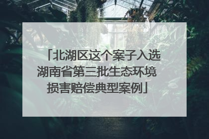 北湖区这个案子入选湖南省第三批生态环境损害赔偿典型案例