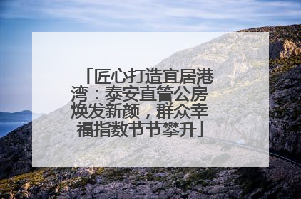 匠心打造宜居港湾：泰安直管公房焕发新颜，群众幸福指数节节攀升