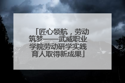 匠心领航，劳动筑梦——武威职业学院劳动研学实践育人取得新成果