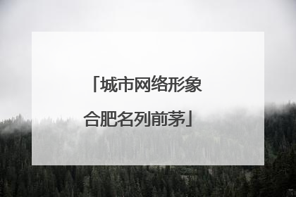 城市网络形象合肥名列前茅