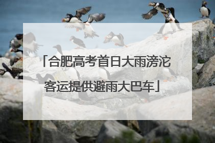 合肥高考首日大雨滂沱 客运提供避雨大巴车