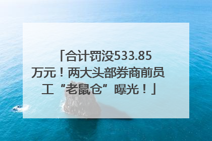合计罚没533.85万元！两大头部券商前员工“老鼠仓”曝光！