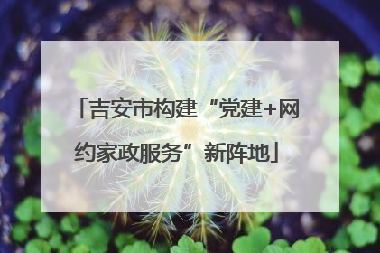 吉安市构建“党建+网约家政服务”新阵地