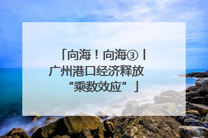 向海！向海③丨广州港口经济释放“乘数效应”