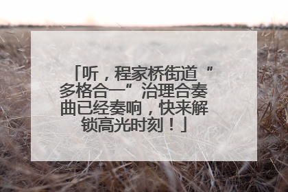 听，程家桥街道“多格合一”治理合奏曲已经奏响，快来解锁高光时刻！