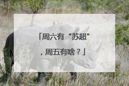 周六有“苏超”，周五有啥？