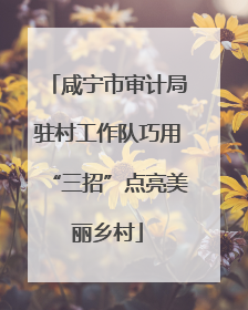 咸宁市审计局驻村工作队巧用“三招”点亮美丽乡村
