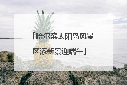 哈尔滨太阳岛风景区添新景迎端午