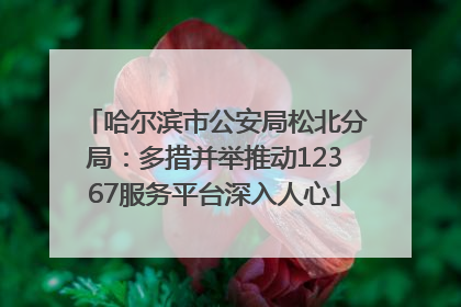 哈尔滨市公安局松北分局：多措并举推动12367服务平台深入人心