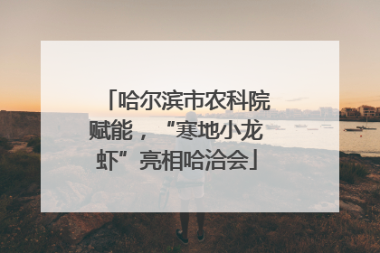 哈尔滨市农科院赋能，“寒地小龙虾”亮相哈洽会