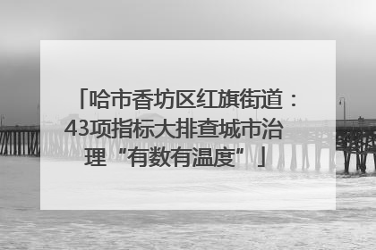 哈市香坊区红旗街道：43项指标大排查城市治理“有数有温度”