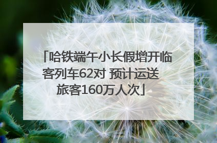 哈铁端午小长假增开临客列车62对 预计运送旅客160万人次