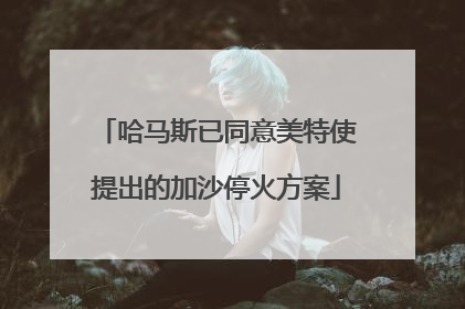 哈马斯已同意美特使提出的加沙停火方案