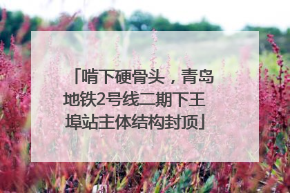 啃下硬骨头，青岛地铁2号线二期下王埠站主体结构封顶