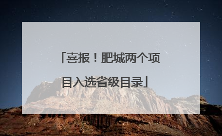 喜报！肥城两个项目入选省级目录