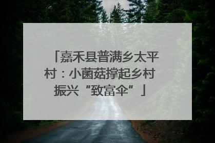 嘉禾县普满乡太平村：小菌菇撑起乡村振兴“致富伞”