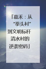 嘉禾：从“拳头村”到文明标杆 清水村的逆袭密码