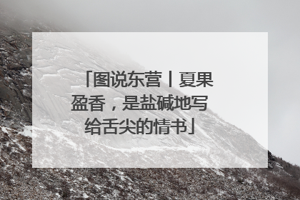 图说东营丨夏果盈香，是盐碱地写给舌尖的情书