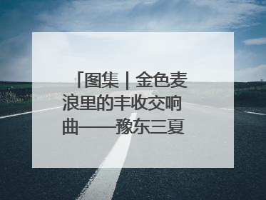 图集｜金色麦浪里的丰收交响曲——豫东三夏抢收纪实