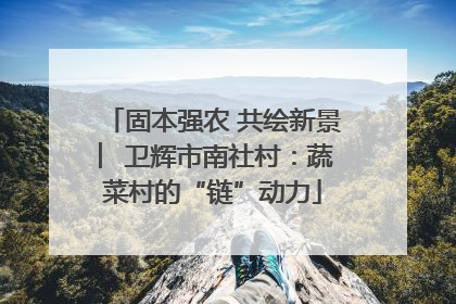 固本强农 共绘新景 ︳卫辉市南社村：蔬菜村的“链”动力