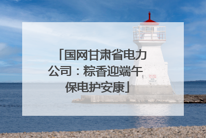国网甘肃省电力公司：粽香迎端午 保电护安康