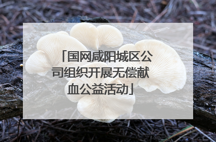 国网咸阳城区公司组织开展无偿献血公益活动