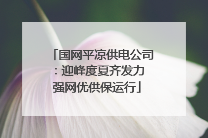 国网平凉供电公司：迎峰度夏齐发力 强网优供保运行