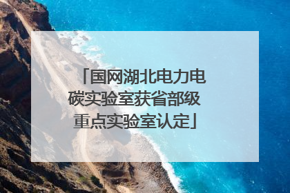 国网湖北电力电碳实验室获省部级重点实验室认定