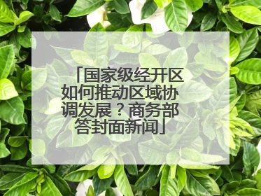 国家级经开区如何推动区域协调发展？商务部答封面新闻
