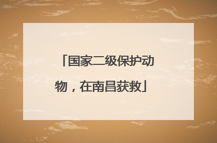 国家二级保护动物，在南昌获救