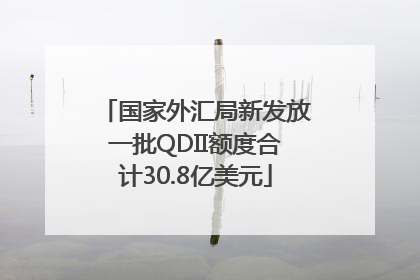 国家外汇局新发放一批QDII额度合计30.8亿美元