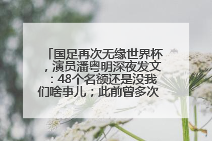 国足再次无缘世界杯，演员潘粤明深夜发文：48个名额还是没我们啥事儿；此前曾多次为国足发声