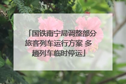 国铁南宁局调整部分旅客列车运行方案 多趟列车临时停运