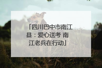 四川巴中市南江县：爱心送考 南江老兵在行动