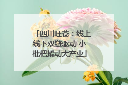 四川旺苍：线上线下双链驱动 小枇杷撬动大产业