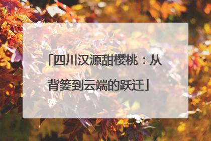 四川汉源甜樱桃：从背篓到云端的跃迁