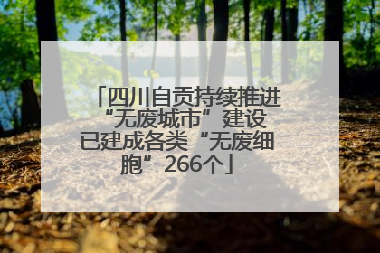 四川自贡持续推进“无废城市”建设 已建成各类“无废细胞”266个