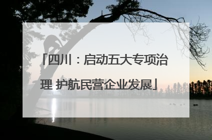 四川：启动五大专项治理 护航民营企业发展