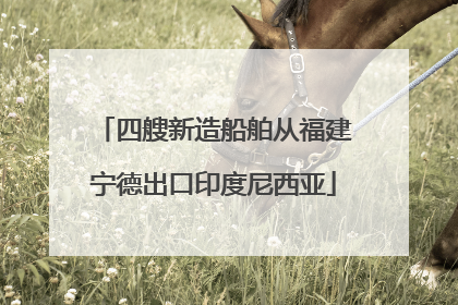 四艘新造船舶从福建宁德出口印度尼西亚