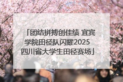 团结拼搏创佳绩 宜宾学院田径队闪耀2025四川省大学生田径赛场