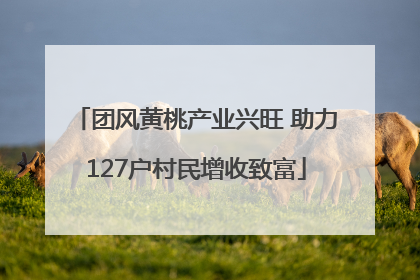 团风黄桃产业兴旺 助力127户村民增收致富