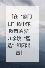 在“家门口”拓中东欧市场 浙江余姚“智造”组团出击