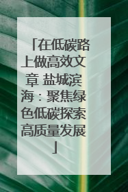 在低碳路上做高效文章 盐城滨海：聚焦绿色低碳探索高质量发展