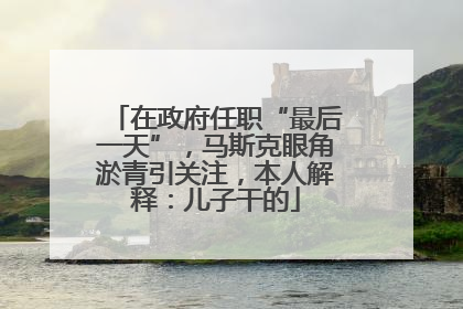 在政府任职“最后一天”，马斯克眼角淤青引关注，本人解释：儿子干的