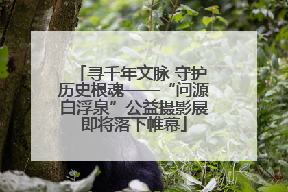 寻千年文脉 守护历史根魂——“问源白浮泉”公益摄影展即将落下帷幕