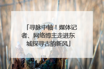 寻脉中轴！媒体记者、网络博主走进东城探寻古韵新风
