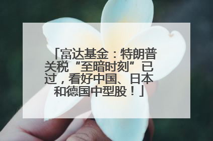 富达基金：特朗普关税“至暗时刻”已过，看好中国、日本和德国中型股！