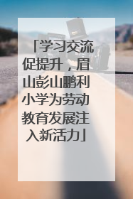 学习交流促提升，眉山彭山鹏利小学为劳动教育发展注入新活力