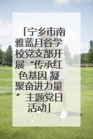 宁乡市南雅蓝月谷学校党支部开展“传承红色基因 凝聚奋进力量”主题党日活动